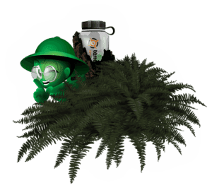 terra aventura zarthus