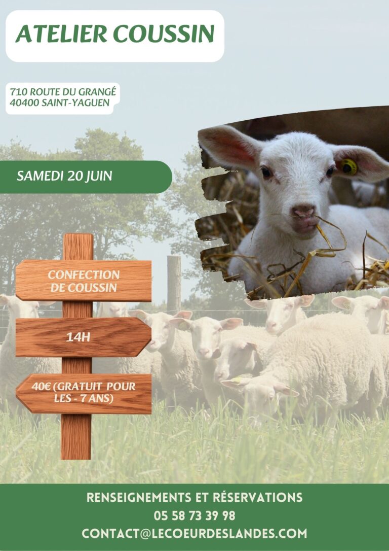 https://cdt40.media.tourinsoft.eu/upload/Atelier-20-Juin.jpg