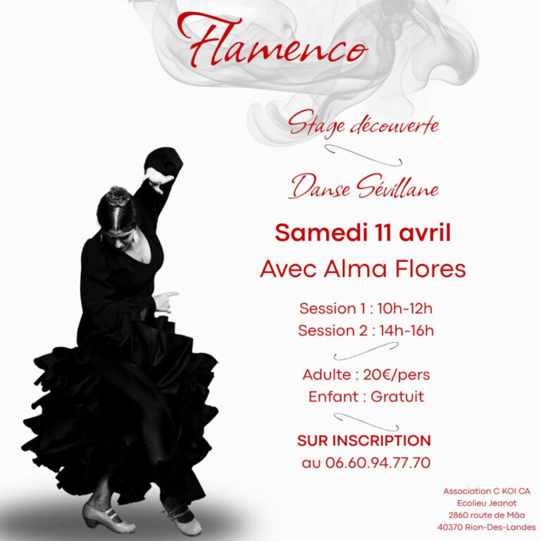 https://cdt40.media.tourinsoft.eu/upload/Flamenco-11-avril.jpg