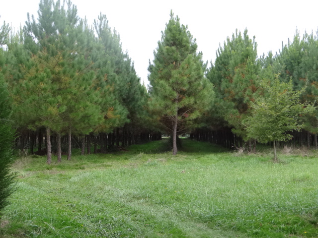https://cdt64.media.tourinsoft.eu/upload/DSC01992.JPG