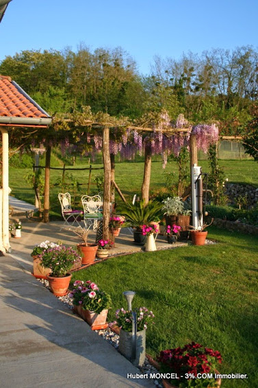 https://cdt64.media.tourinsoft.eu/upload/Glycine-3.jpg